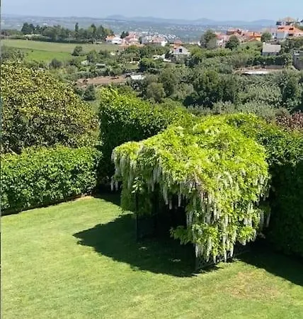 Luxury In * Colares