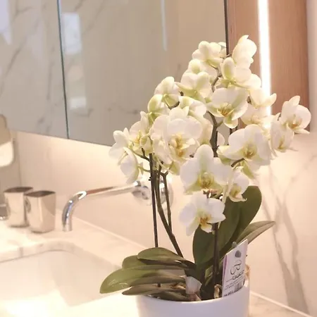 Luxury In 别墅 科拉雷斯