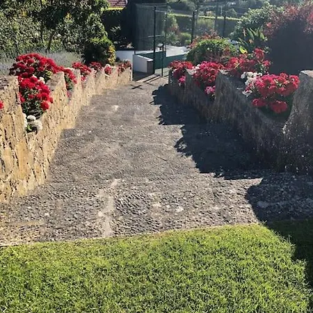 Luxury In * 科拉雷斯